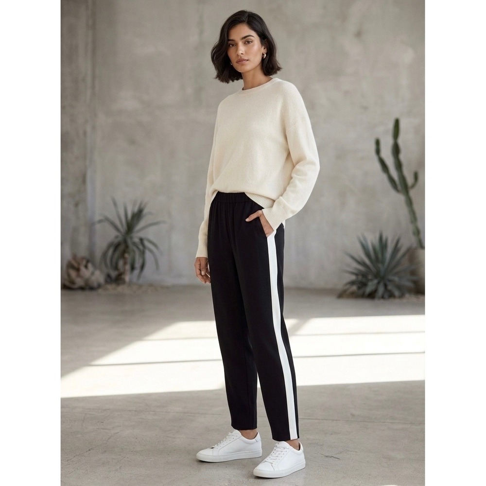 Babaton Aritzia Dexter Pant Black White Stripe Tuxedo Trouser S SBC1-6603-38